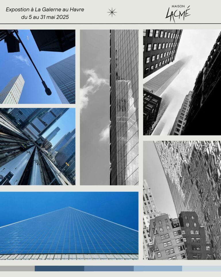 expo - OPTYC - La Galerne - Maison Lacmé