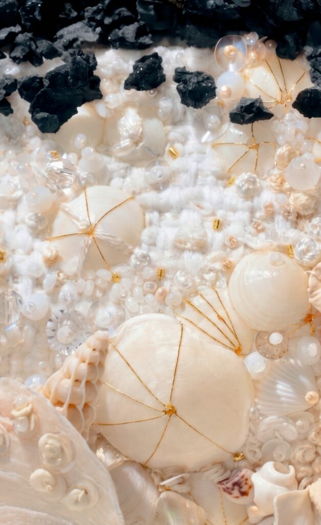 coquillages
